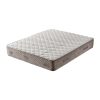 Visco Star 1000x1000